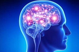 brain9