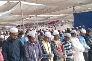 tongi_istema_pic_13117