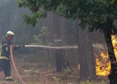 স্পেনে নতুন করে ছড়িয়ে পড়েছে দাবানল